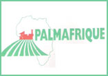 palmafrique