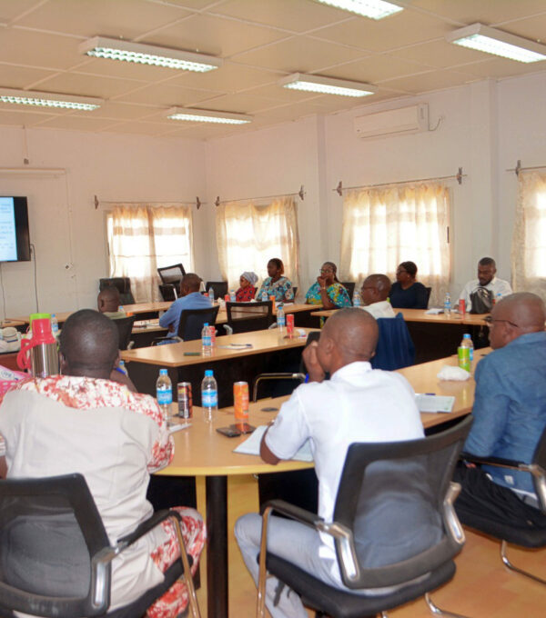 Thème : Syschoada Révisé